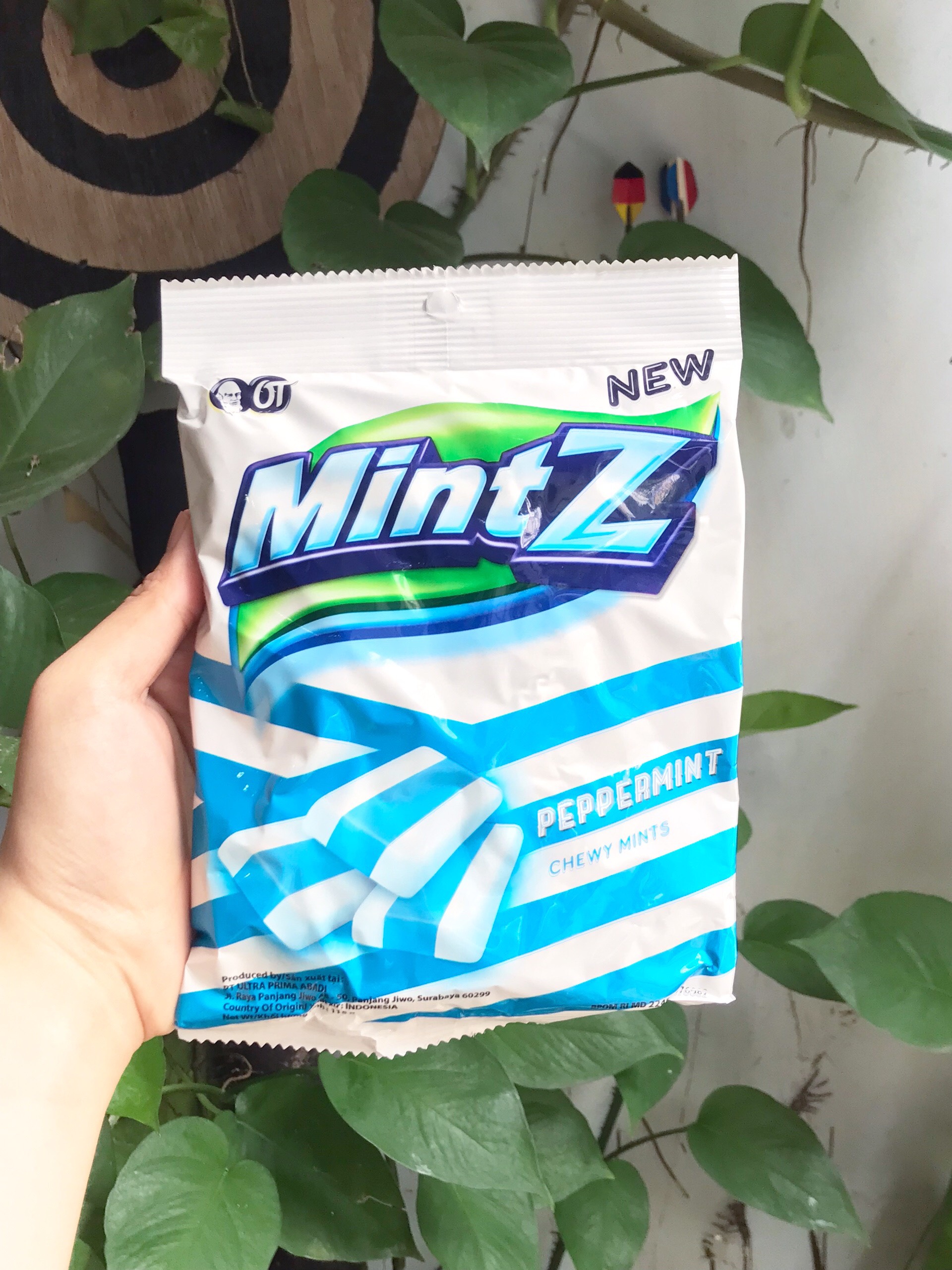 Mintz Peppermint Soft Candy Mint Flavor (115g Pack - Duong)