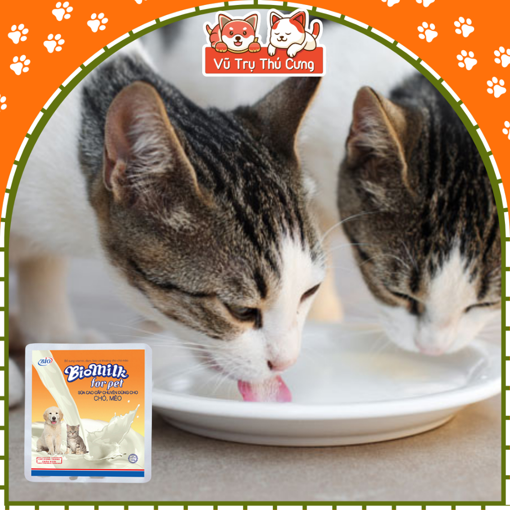 Sữa Bio Milk cho Chó Mèo 100g