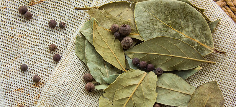 Lá nguyệt quế Ông Chà Và 25gram (Túi)