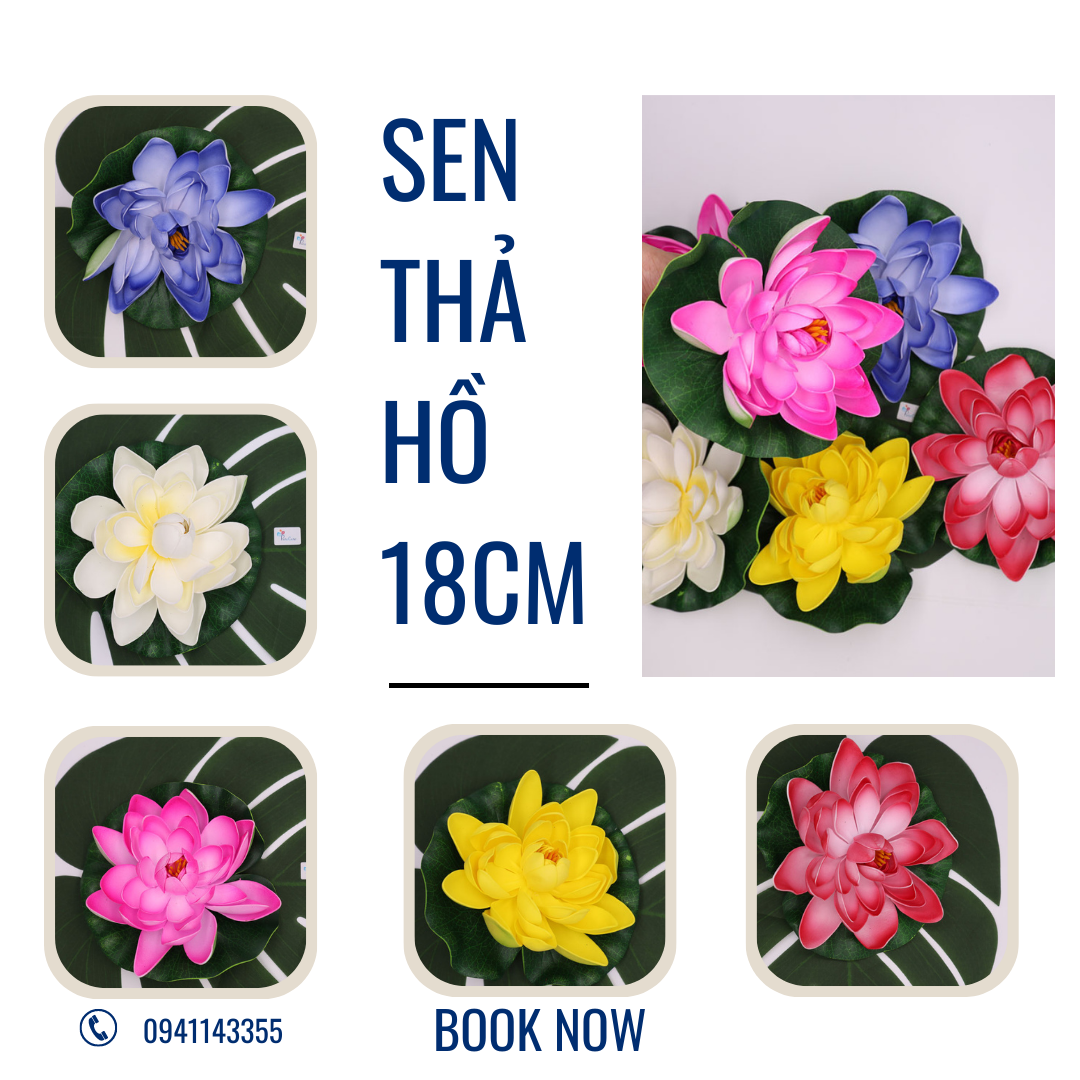 HCM Lá sen thả nước trang trí hồ cá tiểu cảnh