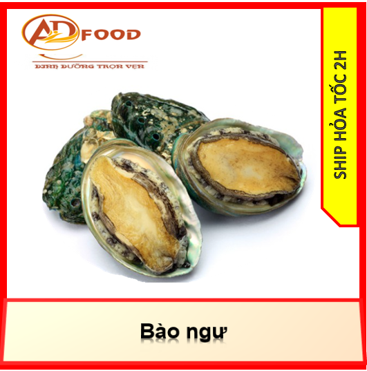 500g bào ngư hàn quốc size 18-20 con/kg
