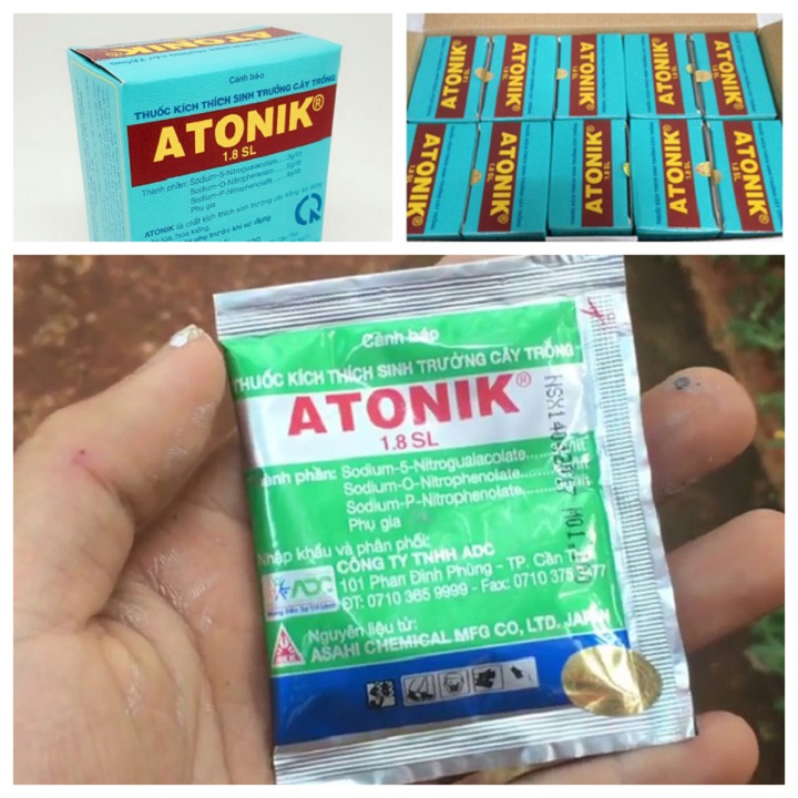 ATONIK 1,8 SL gói 10ml