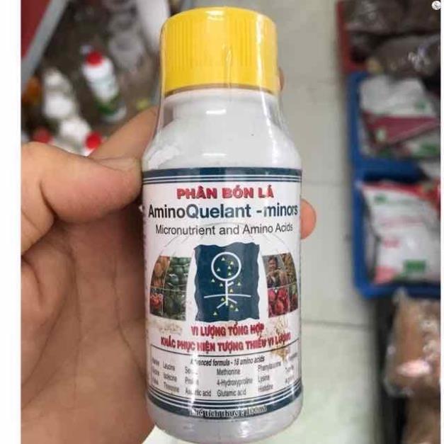 Phân bón lá cao cấp bổ sung vi lượng Amino Quelant Minors chai 100ml