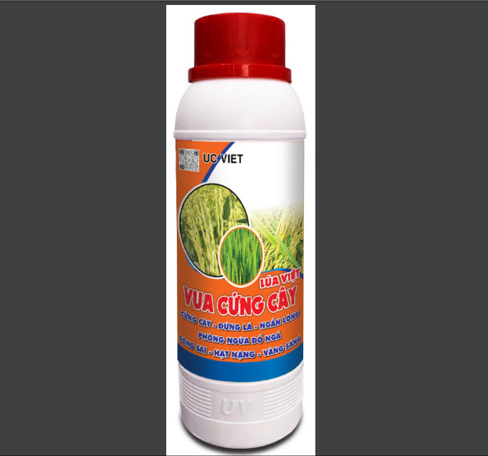 Chuyên gia chống đổ ngã VUA CỨNG CÂY LÚA VIỆT chai 500 ml