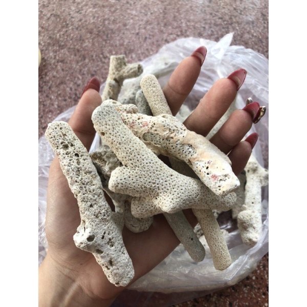 [HCM][ Vật Liệu Lọc ] San hô vụn 1kg đá san hô trang trí bể cá  đá san hô giá rẻ