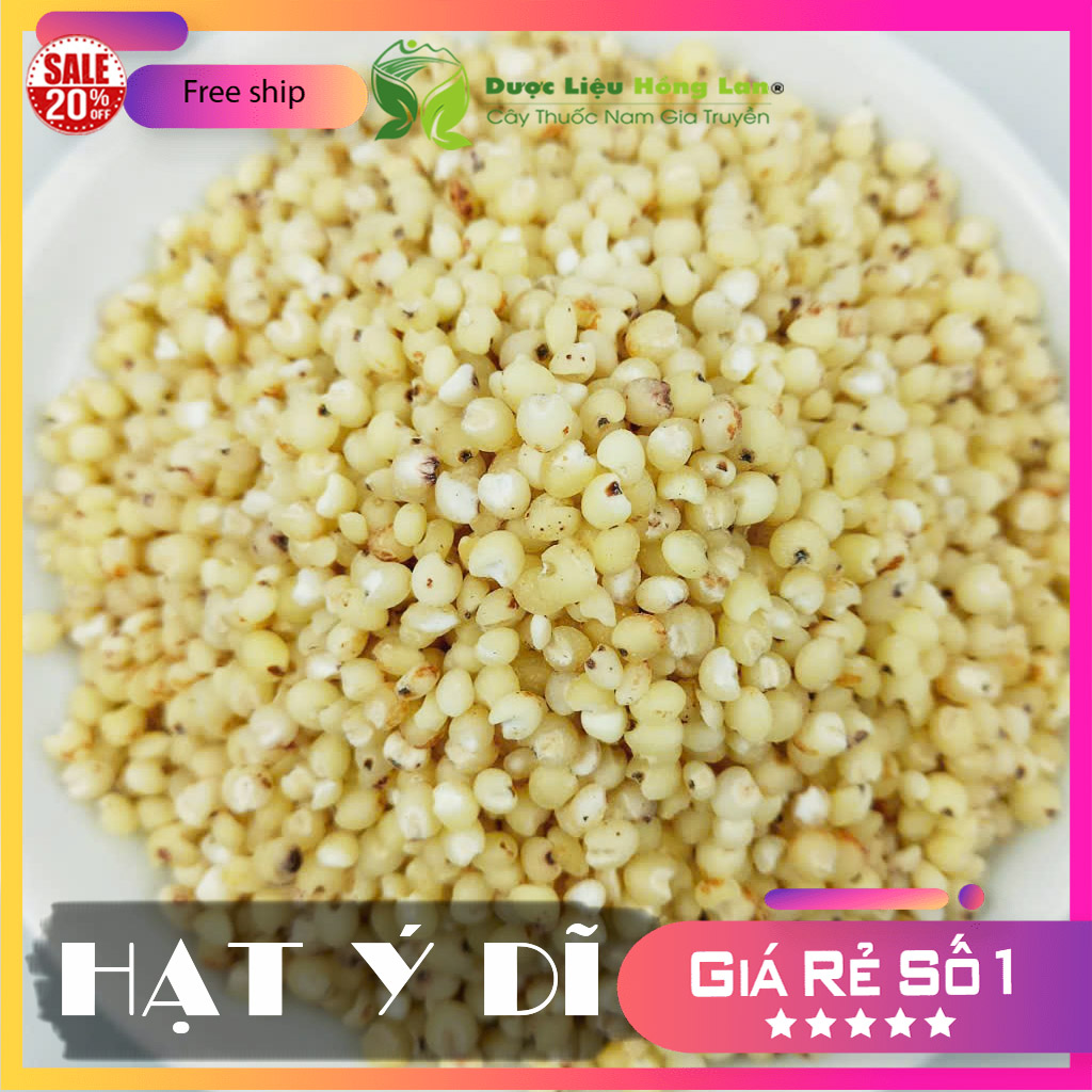 [FreeshipMAX] ✅[THƯỢNG HẠNG] 100g Hạt Ý Dĩ đẹp loại 1 - (Hàng chính hãng)