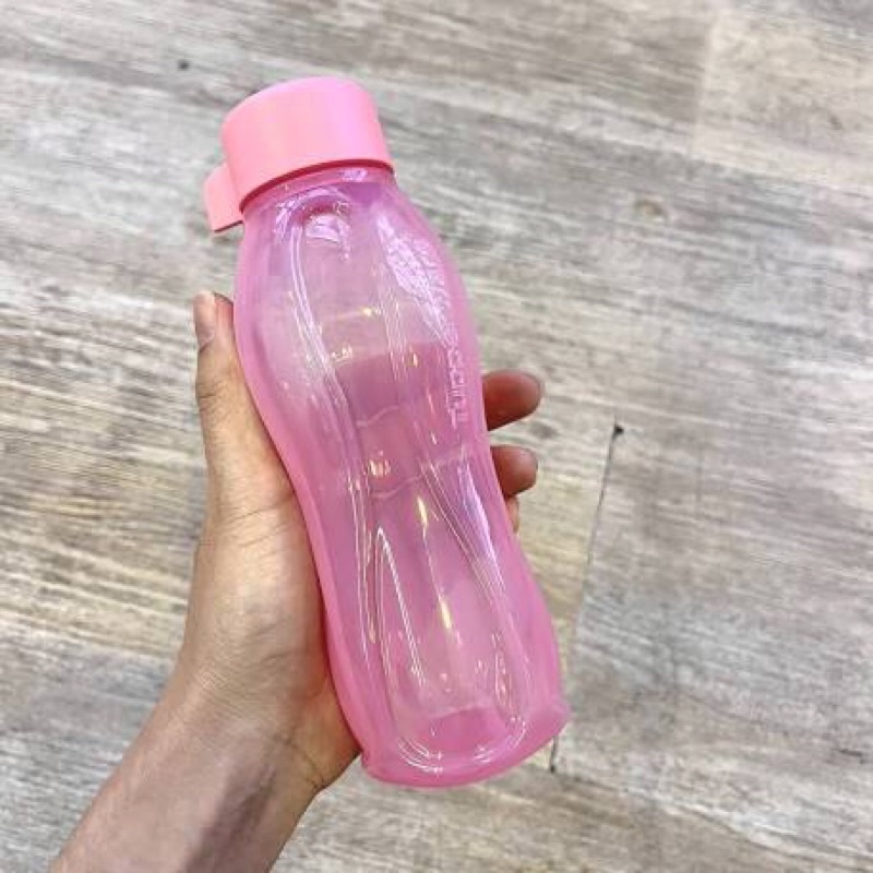 Tupperware - Bình nước eco bottle 310ml