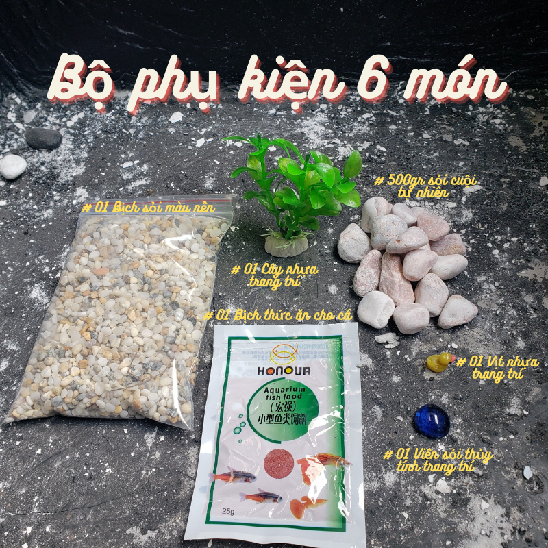 Bể cá mini + Lọc nước + Đèn led 30x17x17cm