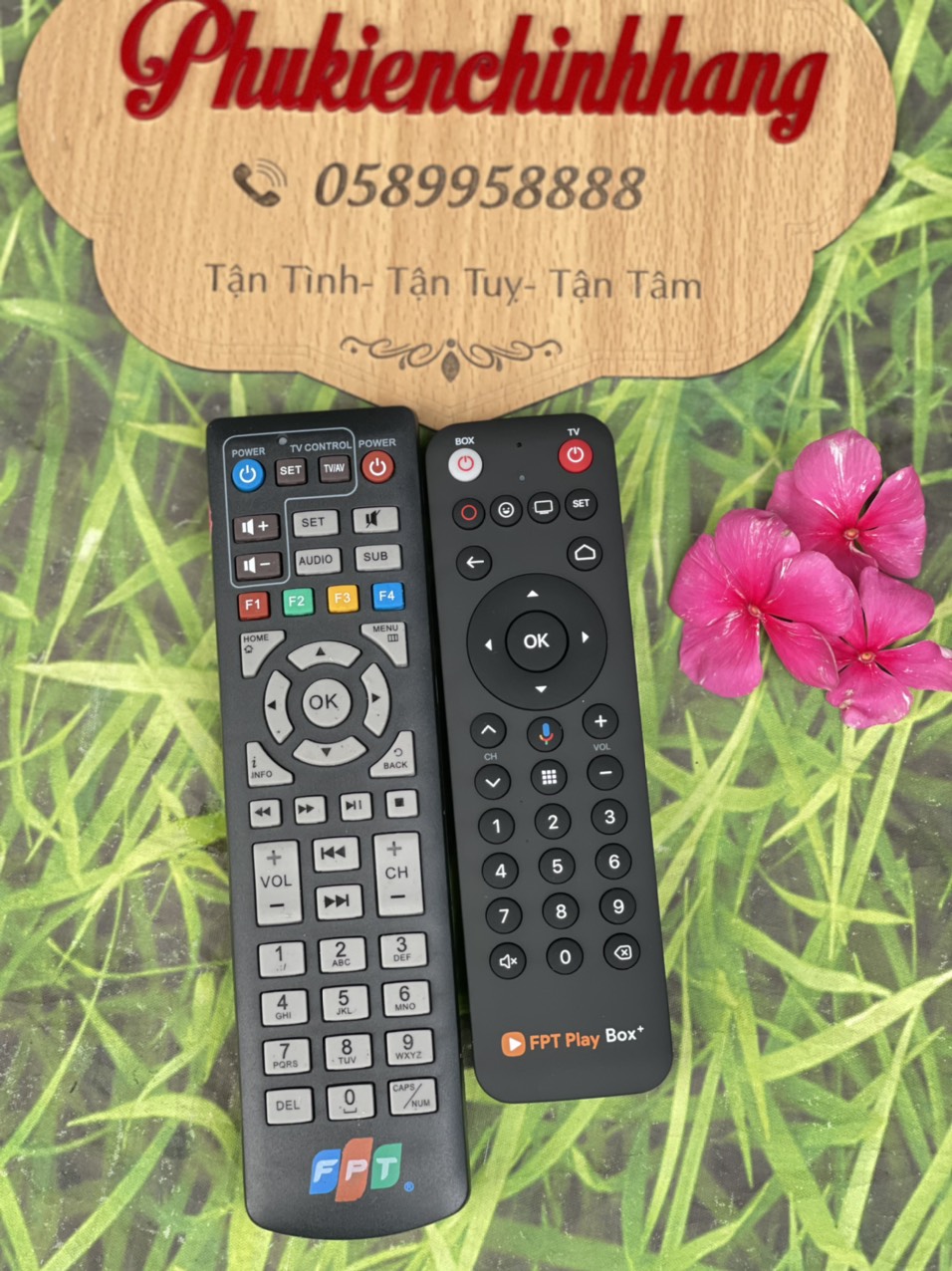 Remote đầu thu FPT( 2 mẫu)