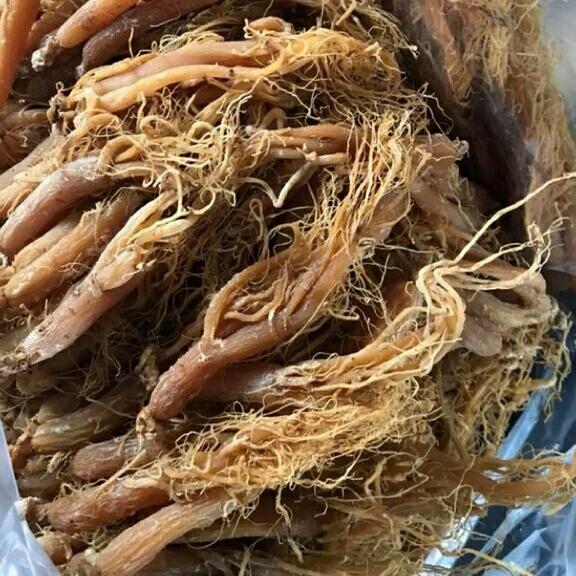 100g nhân sâm khô