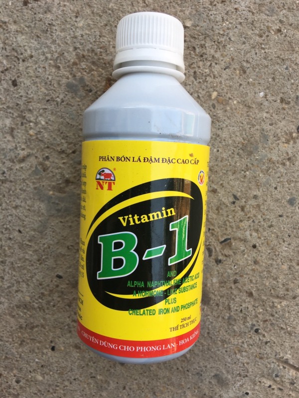 Vitamin B1 - Công thức siêu ra rễ 250ml