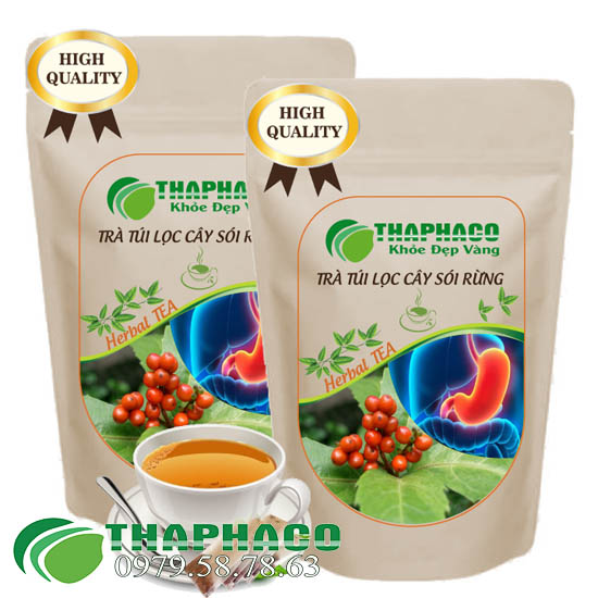 Trà Túi Lọc Cây Sói Rừng Thaphaco