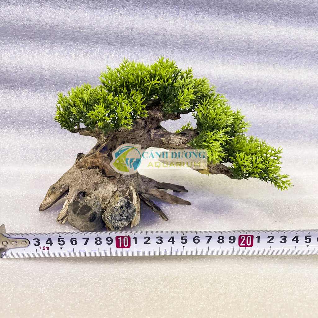 Wrong carbon dripper aquarium decoration