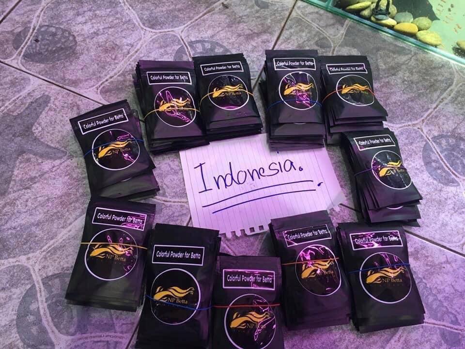 [HCM]Colorful Powder 10g - Bột dưỡng cá Betta Thái Lan
