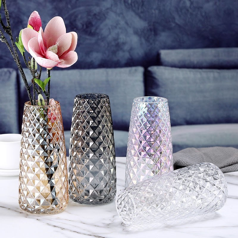 combo 3 chậu lan khách đặt