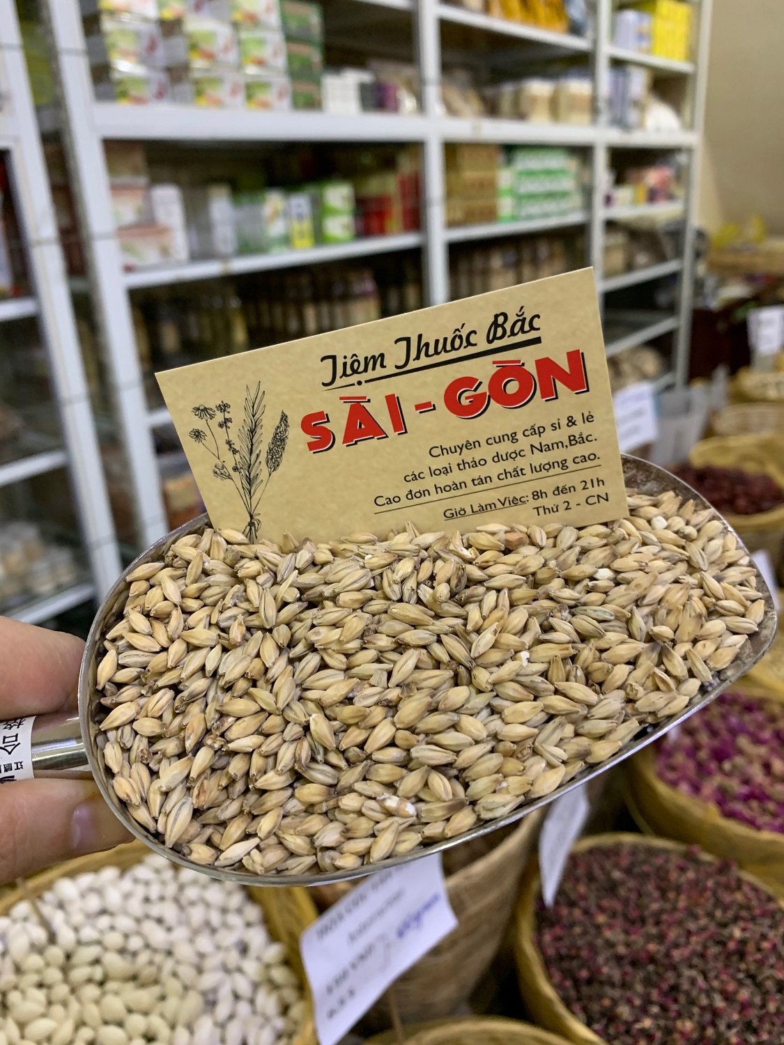 [HCM]TIỂU MẠCH HỮU CƠ 100Gram Tiệm Thu.ốc Bắc Sài Gòn