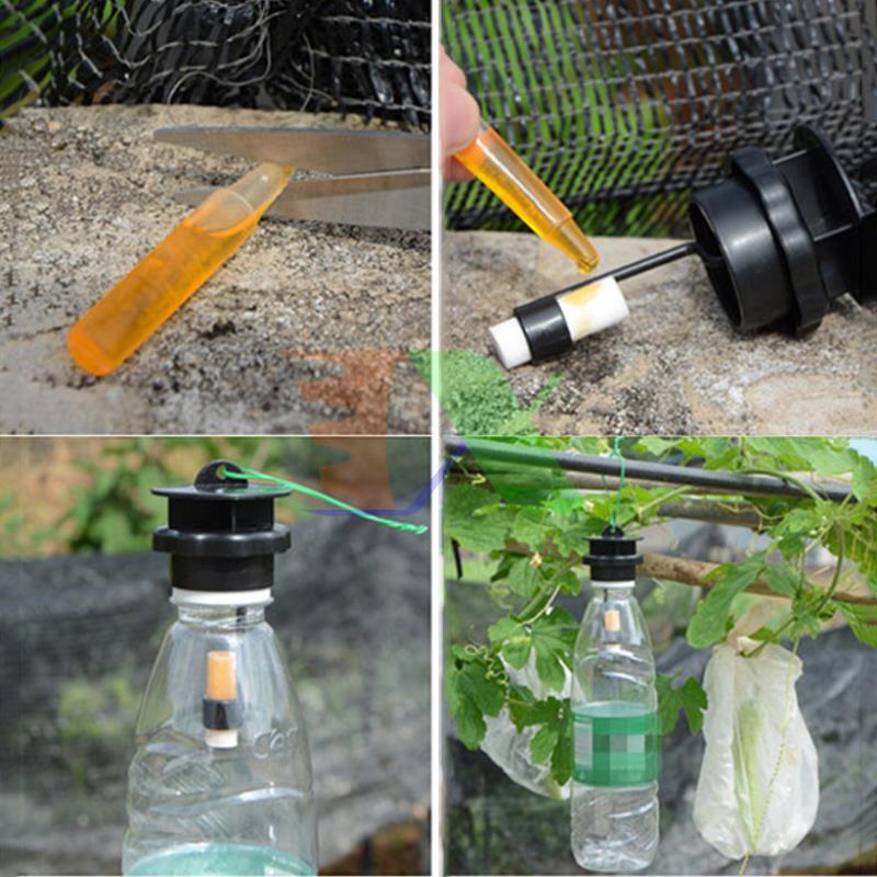 Combo 4 solution vial lure br-th, conductor example bee fly, vinegar, insect đục left