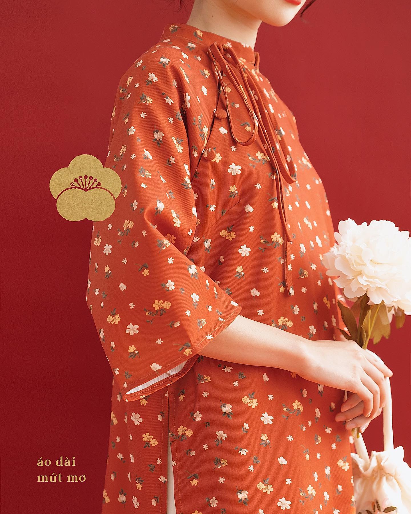 Set áo dài (kèm quần) Naked by V - Mứt Tết
