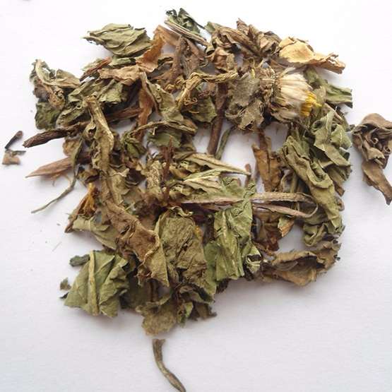 Bồ công anh khô