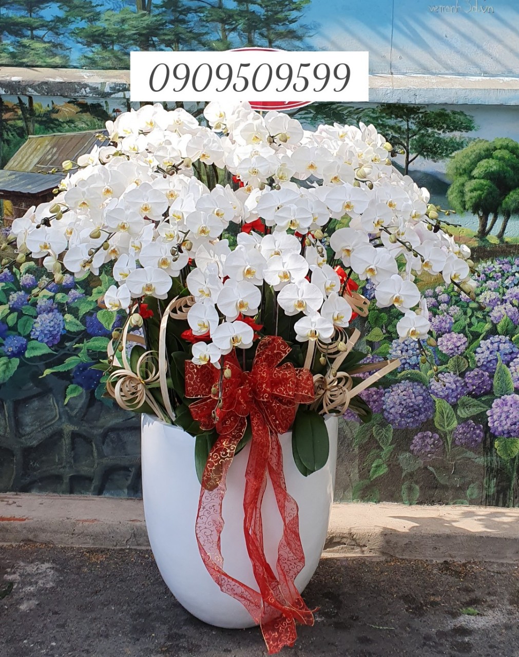 Hoa Lan Hồ Điệp