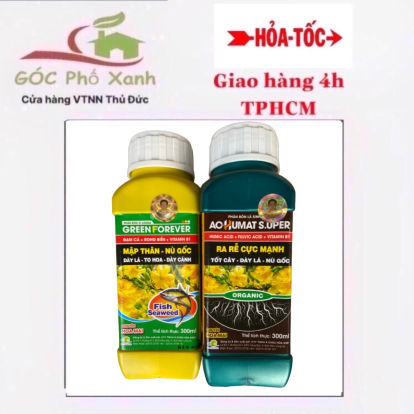 Phân bón ra rễ mập thân nù gốc mai cặp chai 300ml