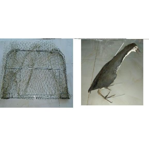 mẹt vuông bẫy bìm bịp.quốc  siêu hiệu quả