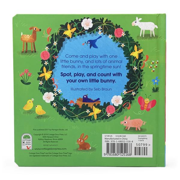 Baby Book: One Little Bunny