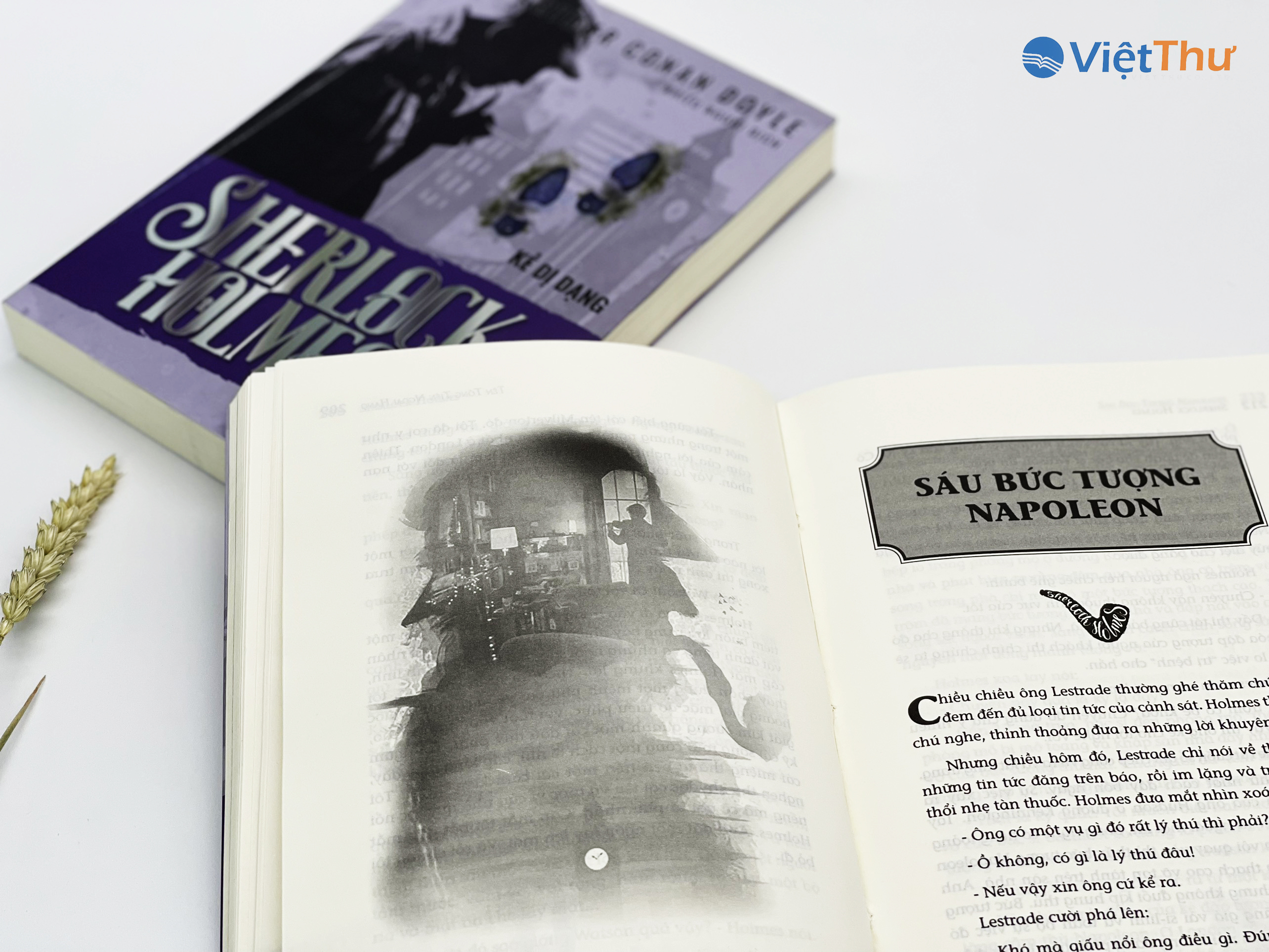 Sherlock Holmes - Kẻ Dị Dạng (Bìa Mềm)(VT)