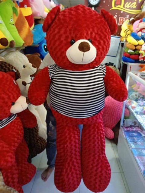 GẤU BÔNG TEDDY KHỔ VẢI 1M6 CAO 1M4