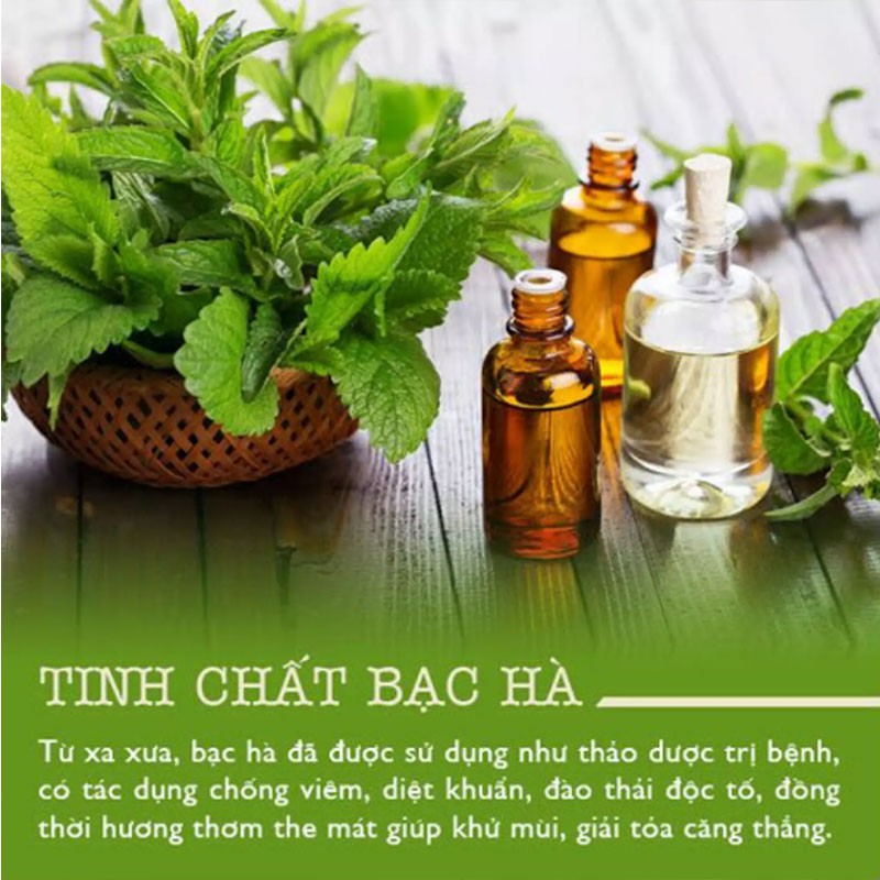 Tinh dầu bạc hà Peppermint Zito 10ml