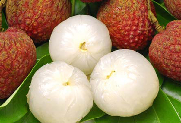 Vải Thiều Ngâm Đường Đóng Lon 565g