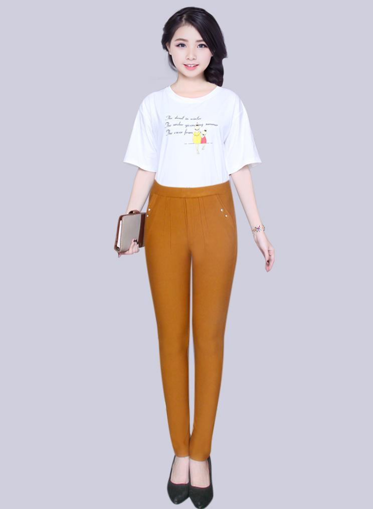 Quần Dài Nữ Lưng Chum Thun Cotton Co Giản 4 Chiều Thd06(lưng tròn 2 nút đá)