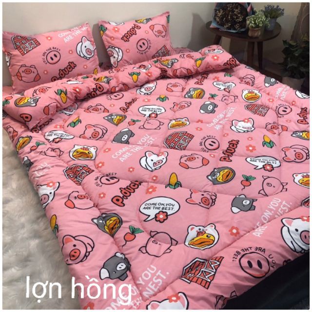 Bộ 5 ga gối chăn phao trần bông dày poly cotton loại 1 chăn bông như hình nhiều mẫu mới