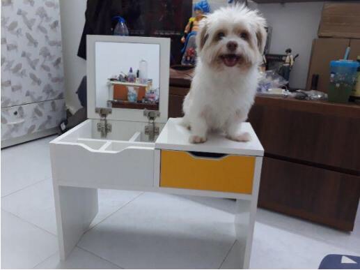 Bàn Trang Điểm Ngồi Bệt - GP69