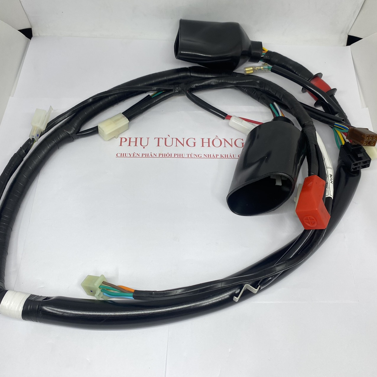 Dây điện sườn future 1 honda pt- hồng ân