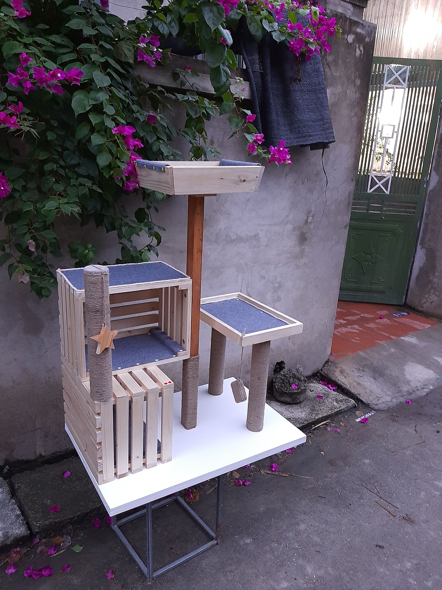 Nhà mèo, cat tree