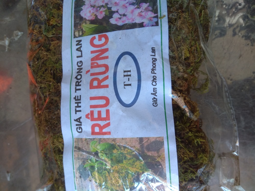 [HCM]Rêu rừng trồng lan - gói 100 gram