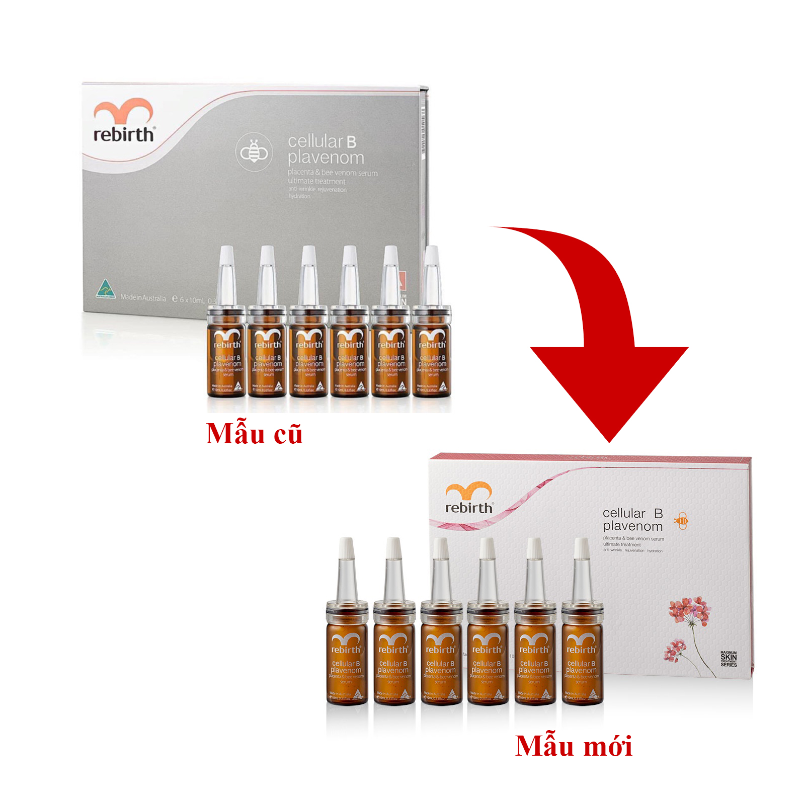 Rebirth Cellular B Plavenom Gift Set 10ml x 6 lọ