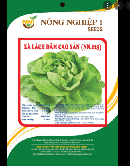 Hạt Giống Xà Lách Đăm Cao Sản