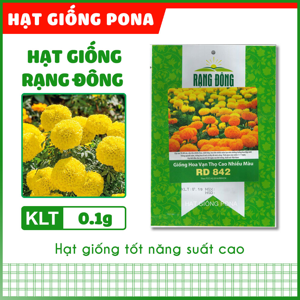 Hạt giống Vạn thọ cao nhiều màu RD 842 - Hạt giống Rạng Đông