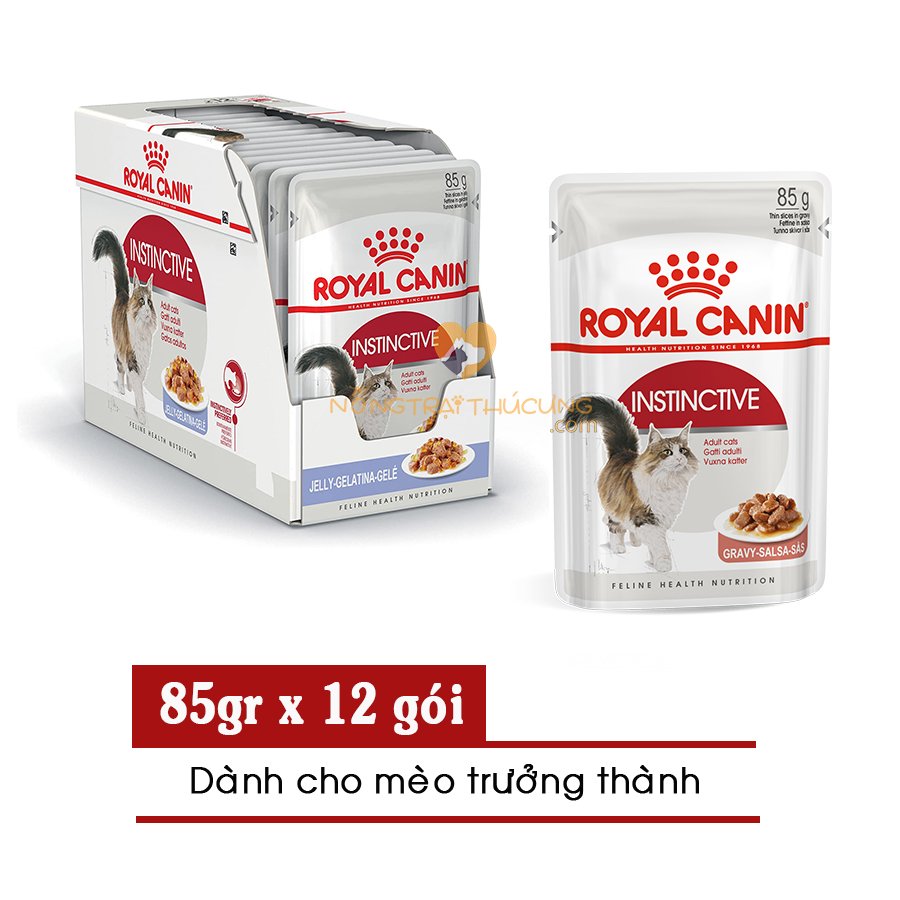 Pate Cho Mèo Lớn ROYAL CANIN INSTINCTIVE  -