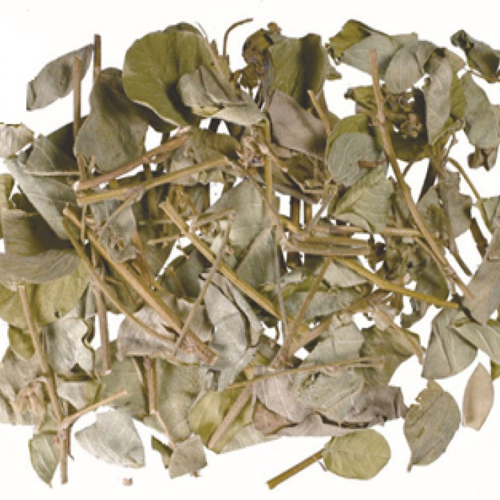 Kim tiền thảo khô 1kg