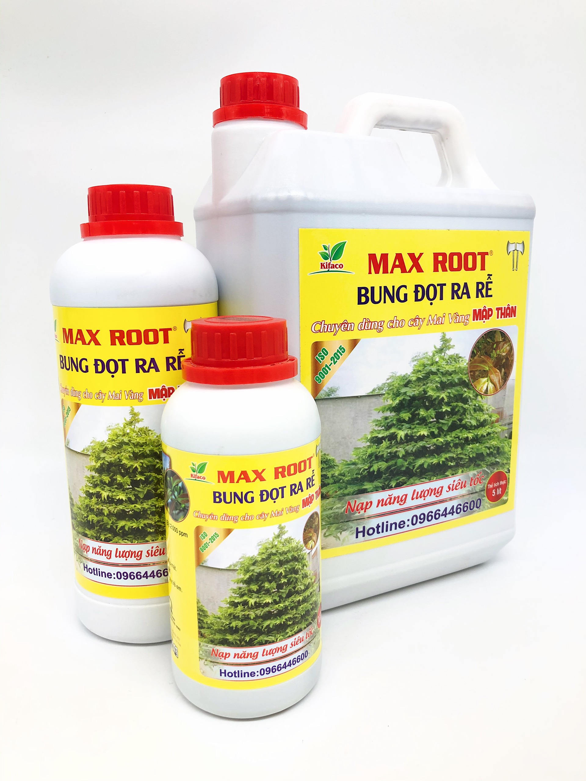 PHÂN BÓN MAI VÀNG - MAX ROOT BUNG ĐỌT RA RỄ MAI CAN 5L