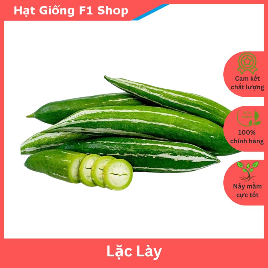 Hạt giống lặc lày lai f1 dễ trồng