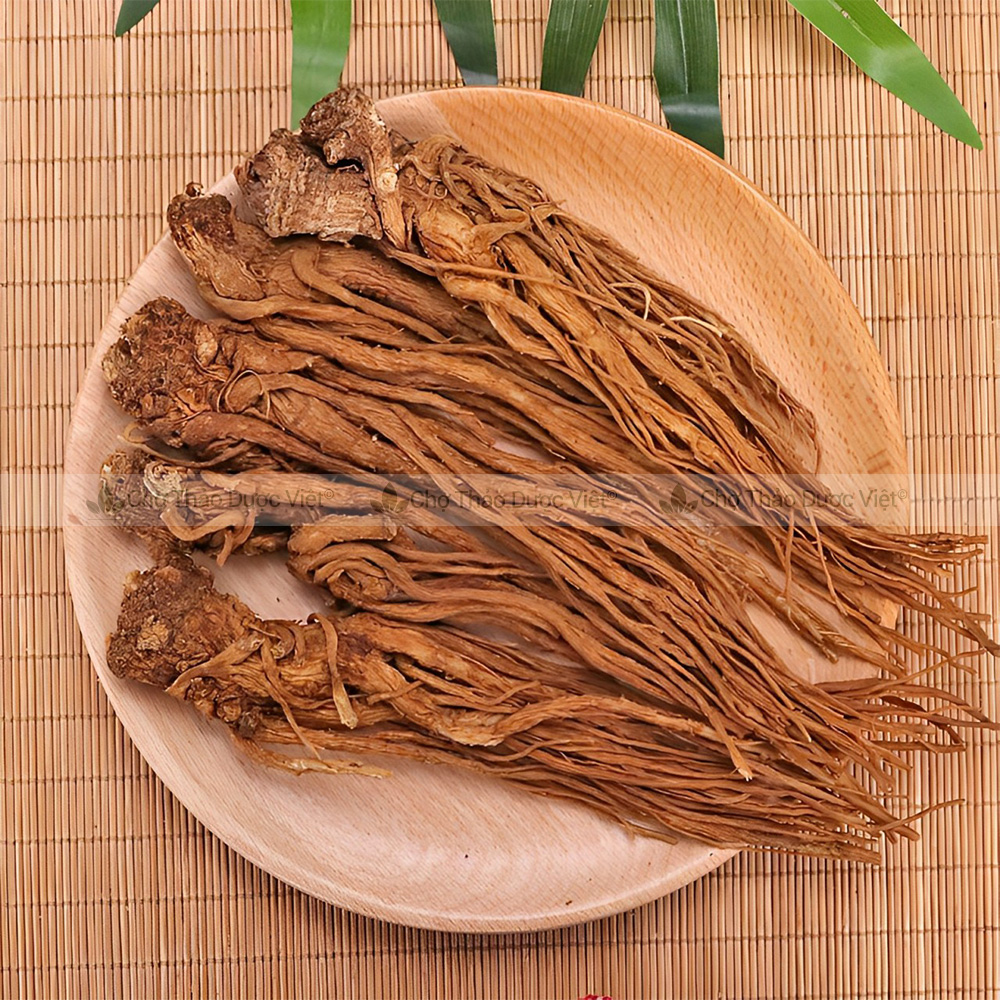 Sâm đương quy loại 1, củ to đẹp 100g
