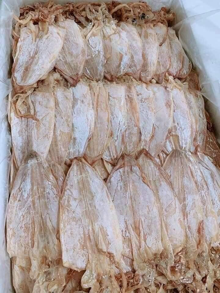 Mực câu Cát Bà  Loại 1 <0.5-1kg>