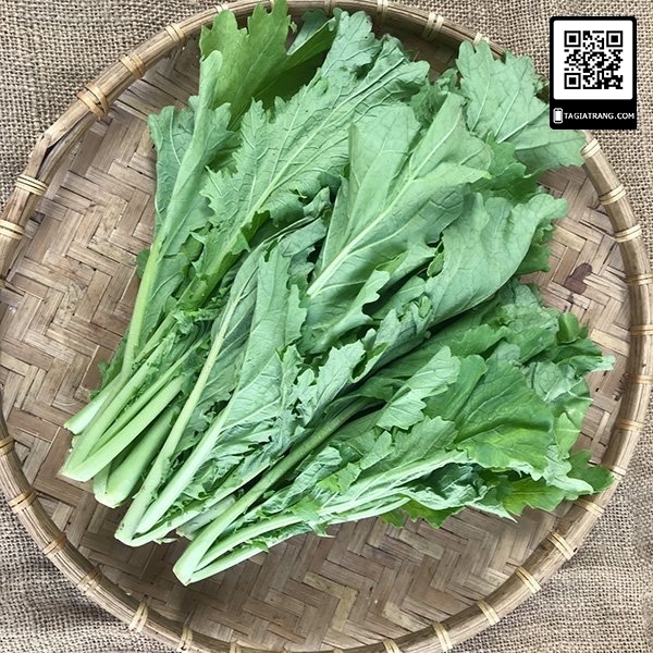 1KG Hạt giống Cải Mèo