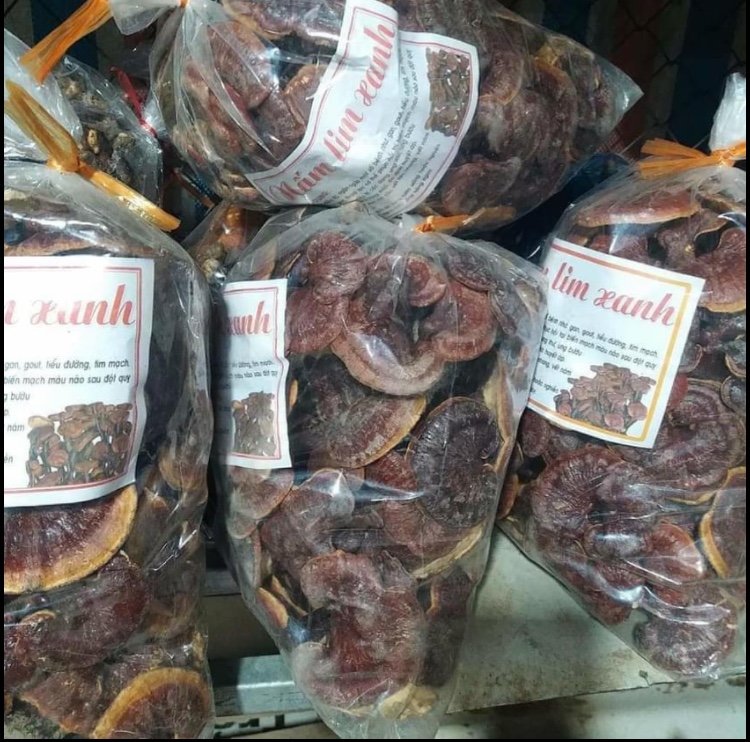 Nấm Lim Xanh khô Tự Nhiên - 100g