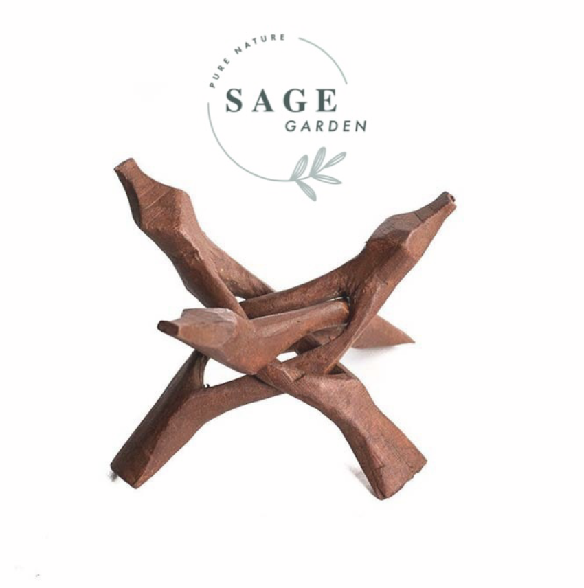 SET TIỆN ÍCH size L (1 Ốc Rainbow L và 1 Đế Gỗ L) SAGE GARDEN
