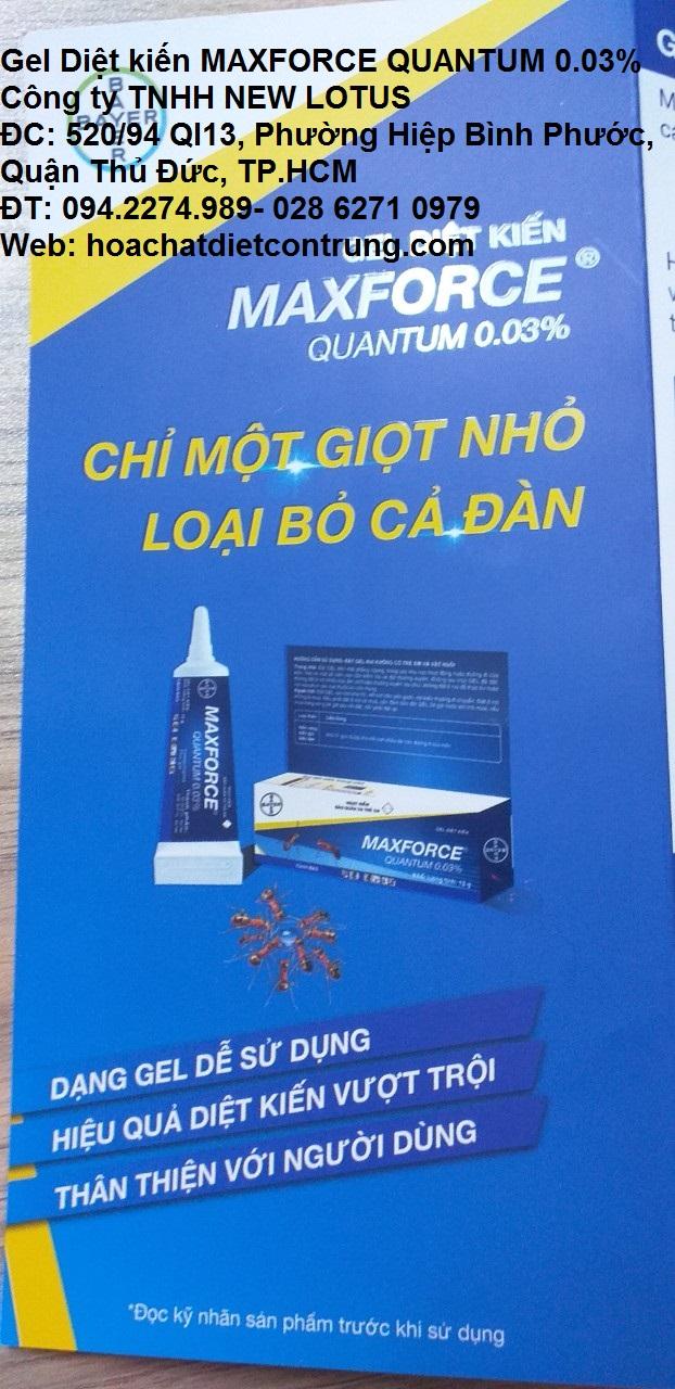 Gel Diệt Kiến MAXFORCE QUANTUM 0.03% Tuýp 12gam (BAYER)
